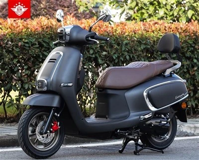 SPONGE BACKREST WITH RACK FOR SUZUKI US125